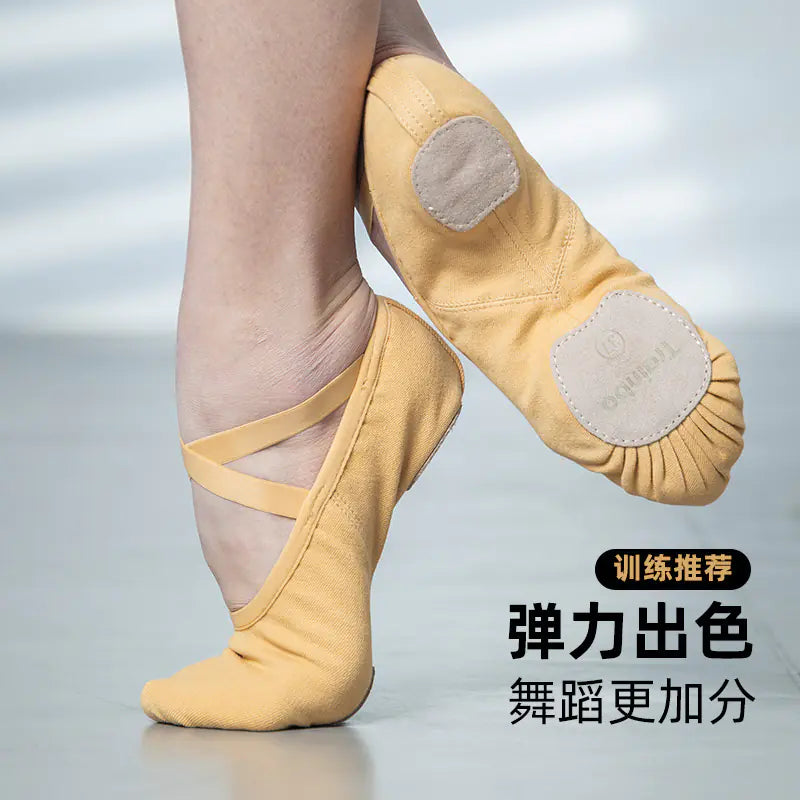 Elastic Cloth Dance Shoes for Girls - Ballet Soft Sole