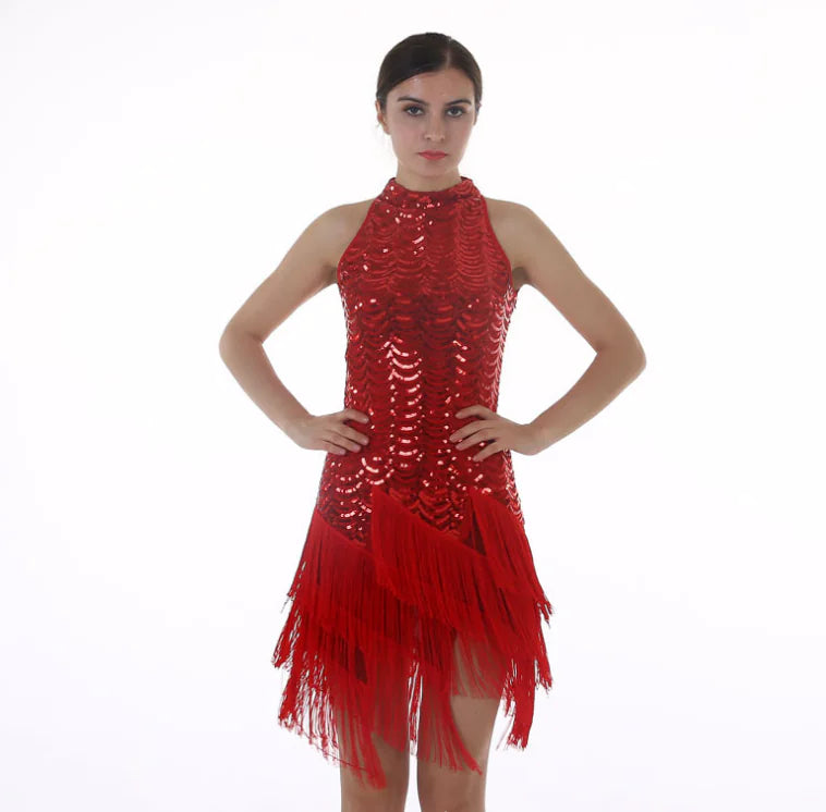 Sequin Tassel Skirt, Latin Dance Dress, Evening Gown