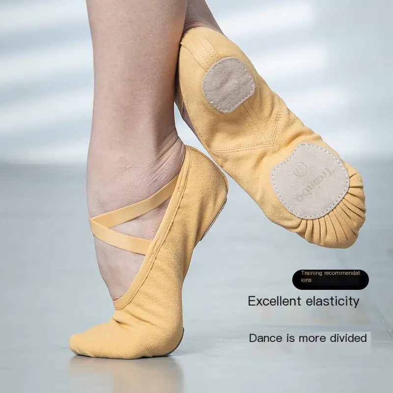 Elastic Cloth Dance Shoes for Girls - Ballet Soft Sole