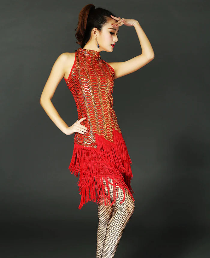 Latin Dance Costume, Skirt, Performance Outfit
