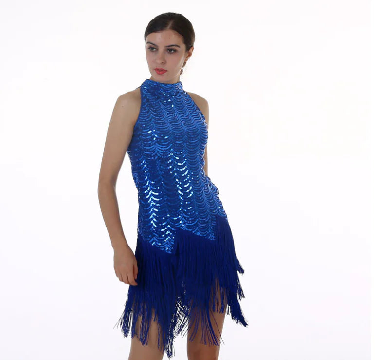 Sequin Tassel Skirt, Latin Dance Dress, Evening Gown