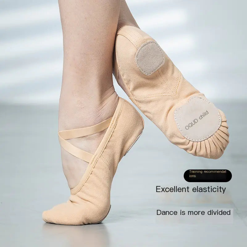 Elastic Cloth Dance Shoes for Girls - Ballet Soft Sole