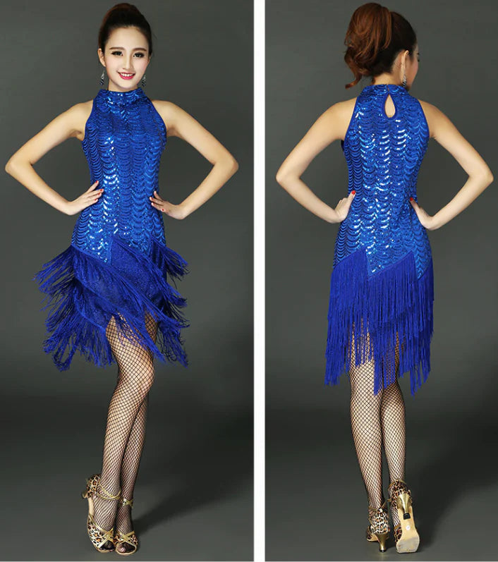 Latin Dance Costume, Skirt, Performance Outfit
