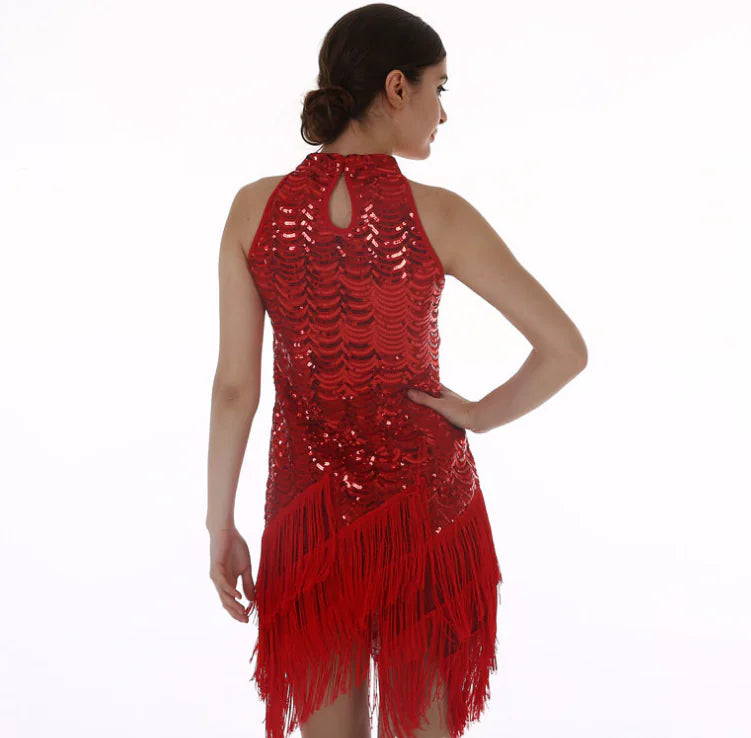Sequin Tassel Skirt, Latin Dance Dress, Evening Gown