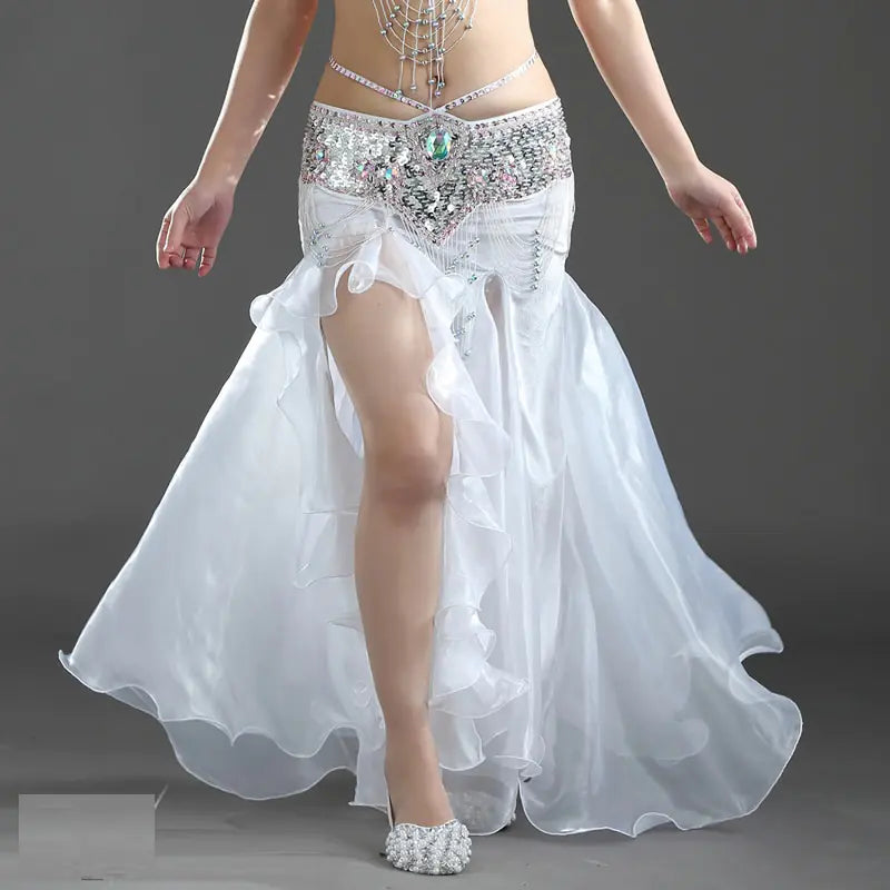 Belly Dance Performance Outfit
