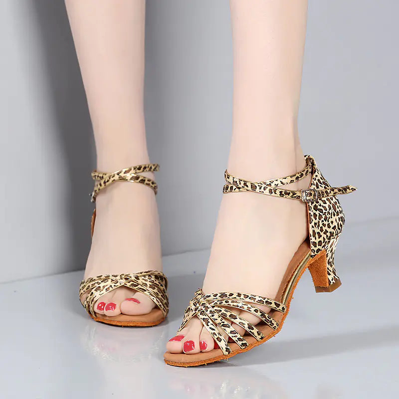 Women's Latin Dance Shoes with Soft Sole (New Style)