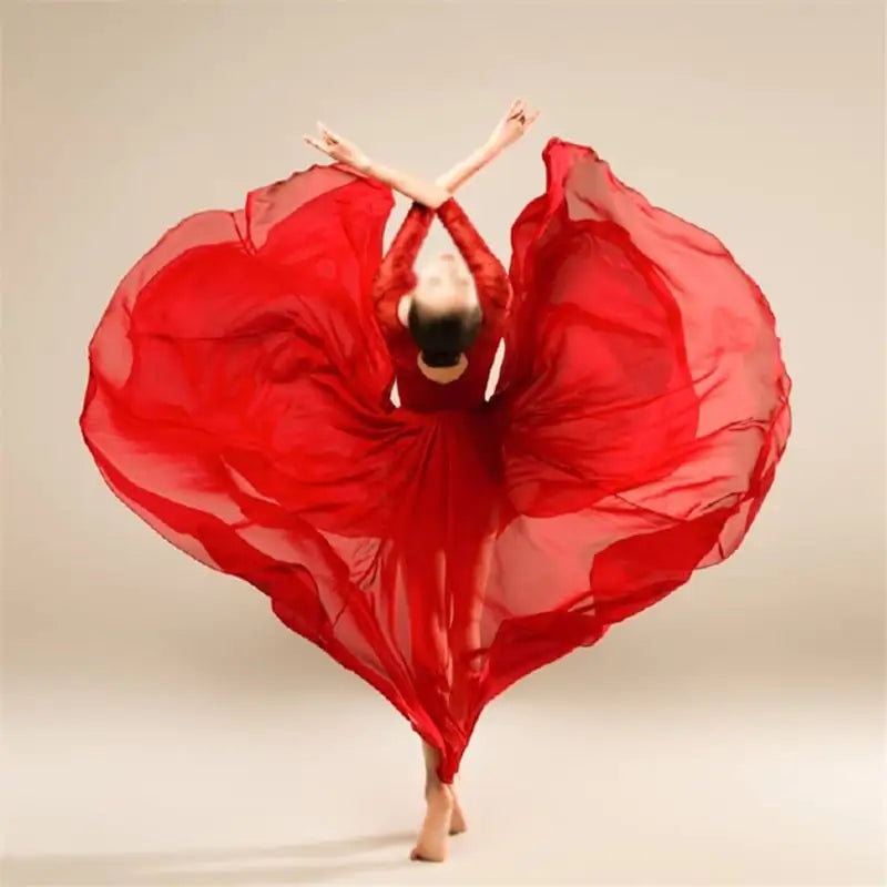 Elegant Classical Dance Costume with Half-Length Skirt