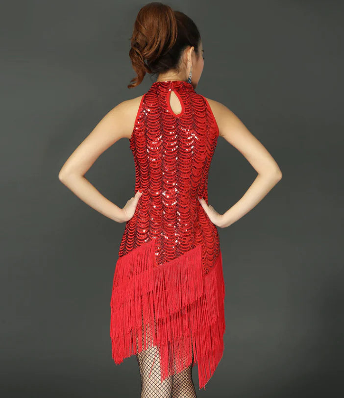 Latin Dance Costume, Skirt, Performance Outfit