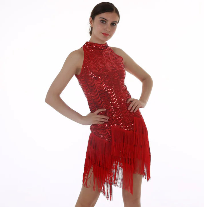 Sequin Tassel Skirt, Latin Dance Dress, Evening Gown